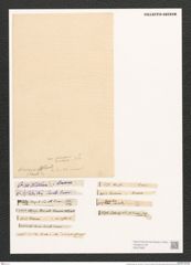 Surirella linearis Sm. (de-Toni-Nr.: Genus 53, Species 2218) Zeichnungen Sammlung Grunow (NHMW-BOT-W0372687)